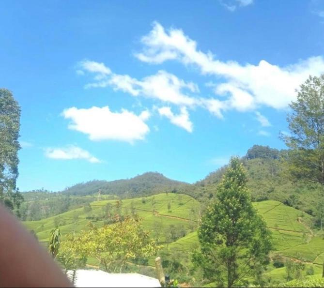 Nuwaraeliya Penthouse Apartment With Pool & Panaromic Views Nuwara Eliya Eksteriør billede